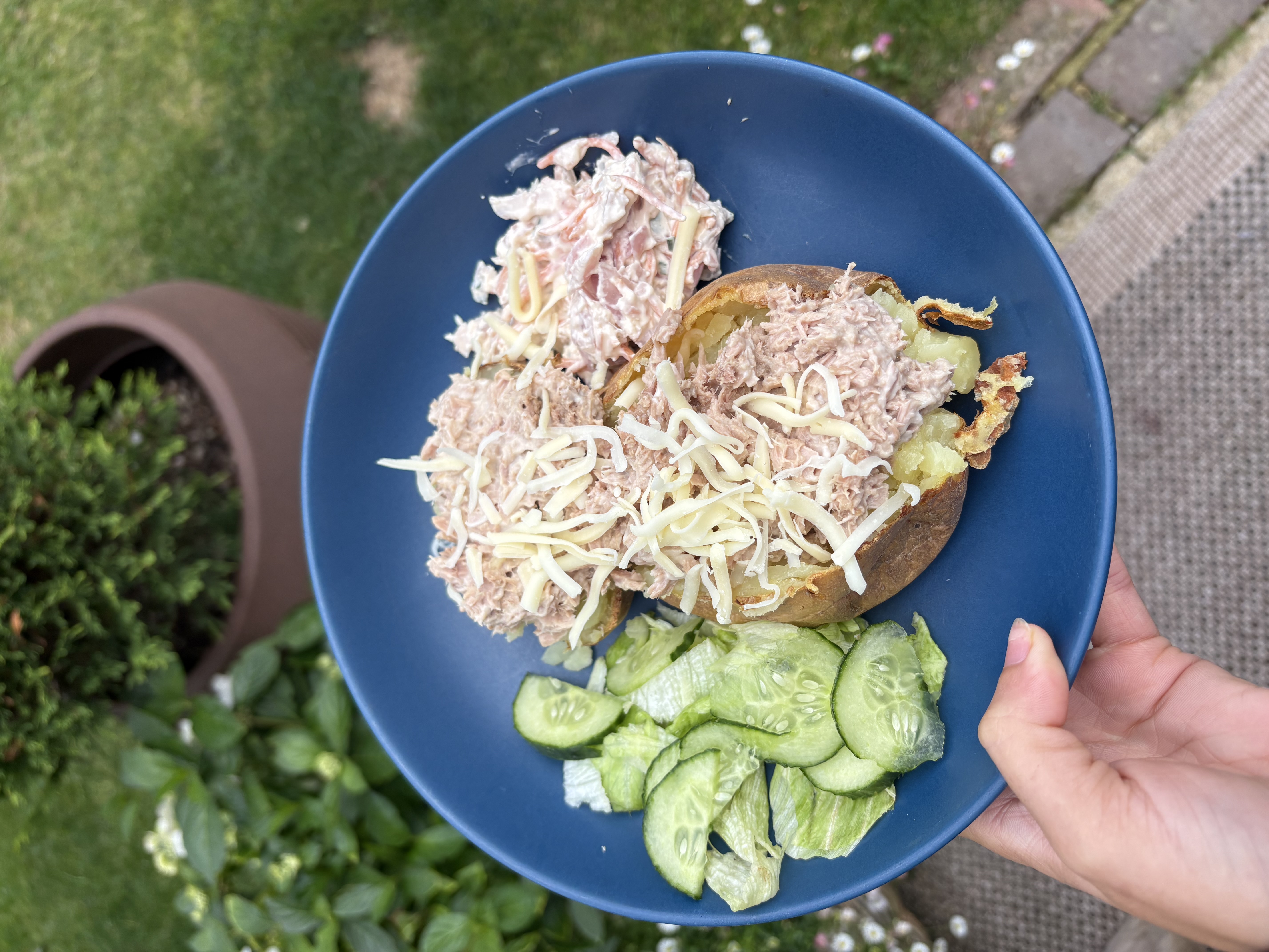 Tuna mayonnaise jacket potato with grated cheese, served with a cucumber and lettuce salad and coleslaw